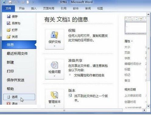 word2010文档中键入时标记语法错误功能的操作方法
